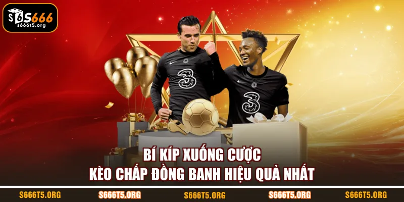 Bí kíp xuống cược kèo chấp đồng banh hiệu quả nhất