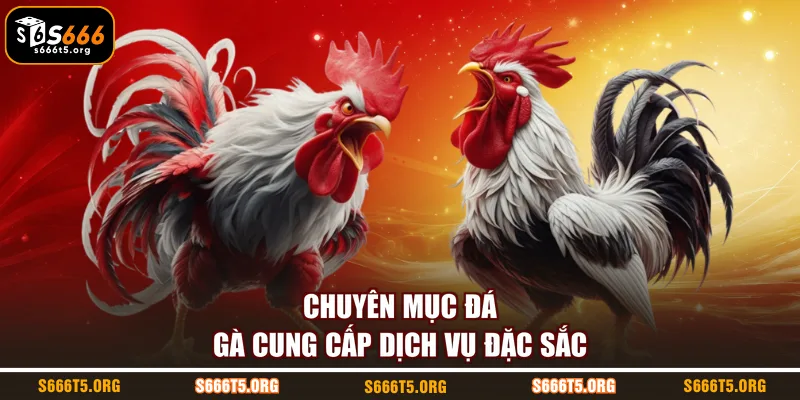 Chuyên mục đá gà cung cấp dịch vụ đặc sắc