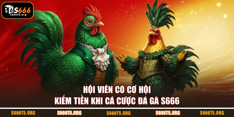 Hội viên có cơ hội kiếm tiền khi cá cược đá gà S666