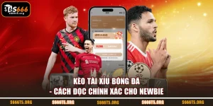 Kèo tài xỉu bóng đá