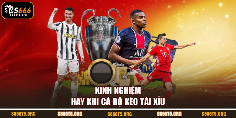 Kinh nghiệm hay khi cá độ kèo tài xỉu