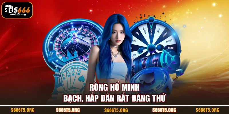 Rồng hổ minh bạch, hấp dẫn rất đáng thử